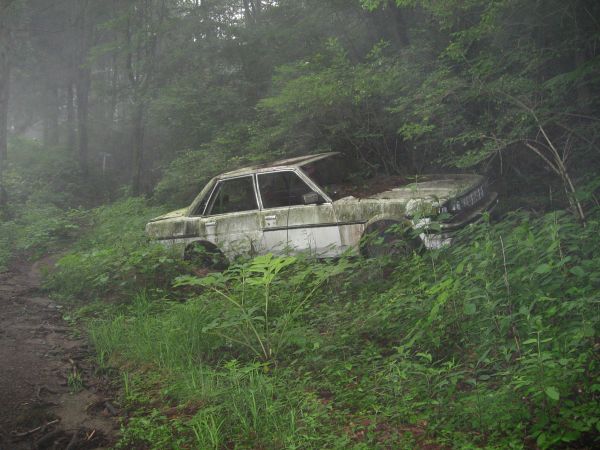 捨てられた自動車