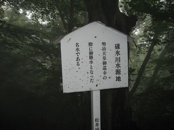 雨の中で撮った写真