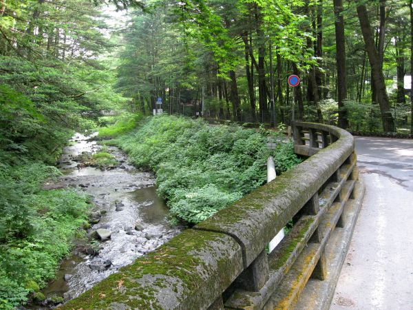 舗装道路を軽井沢に向かって歩き始める