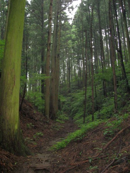 最初の急坂