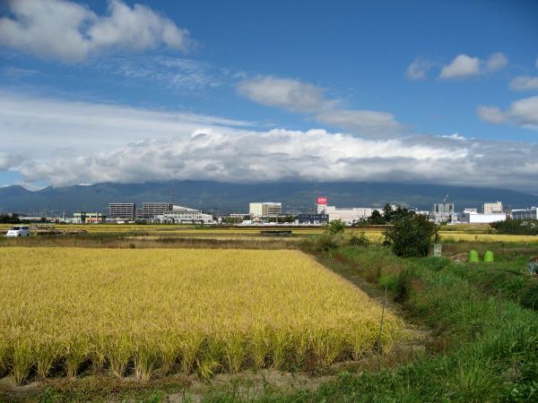 岩村田宿を出た中山道の景色