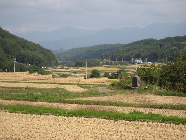 望月宿外れの田園風景