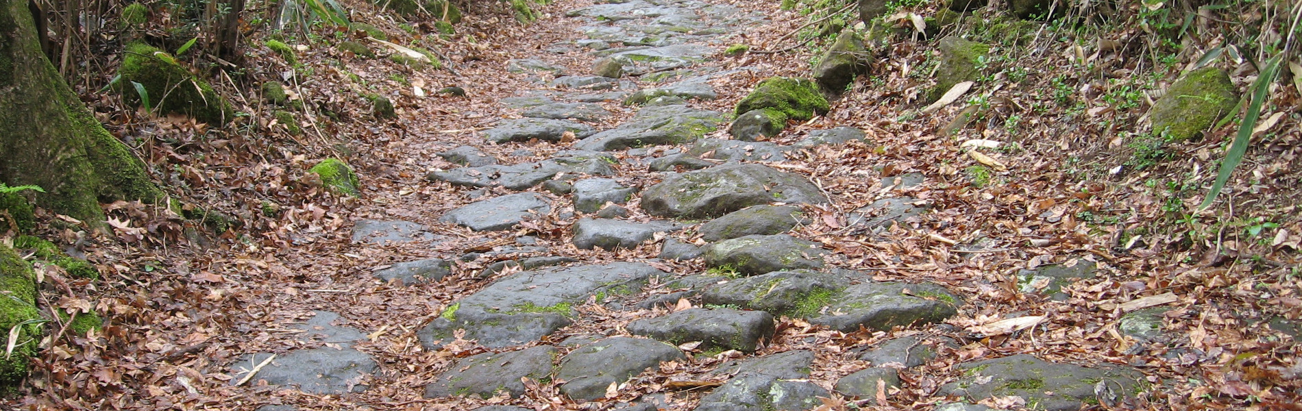 東海道箱根八里