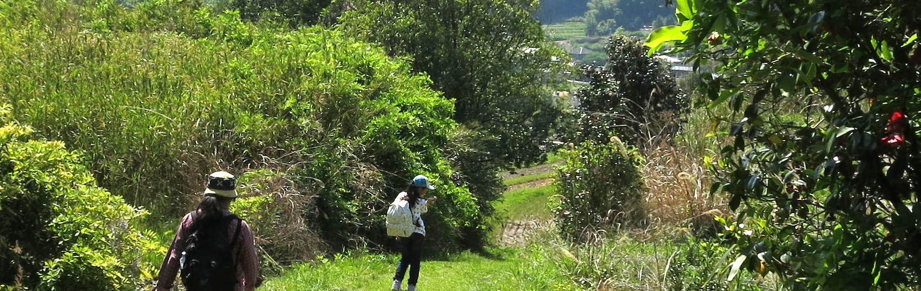 中山道美濃路