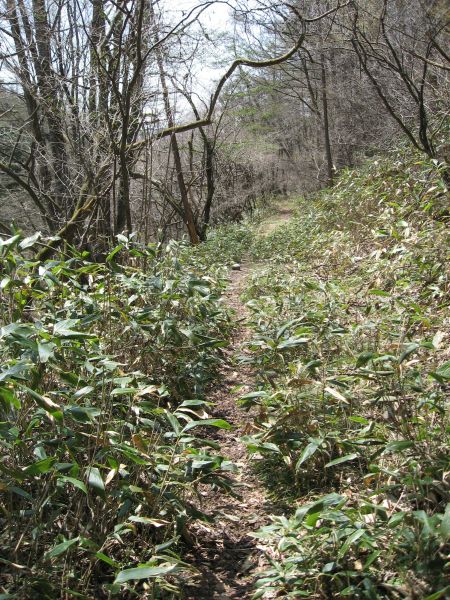 旧中山道