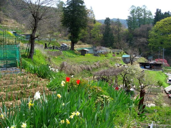 田園風景