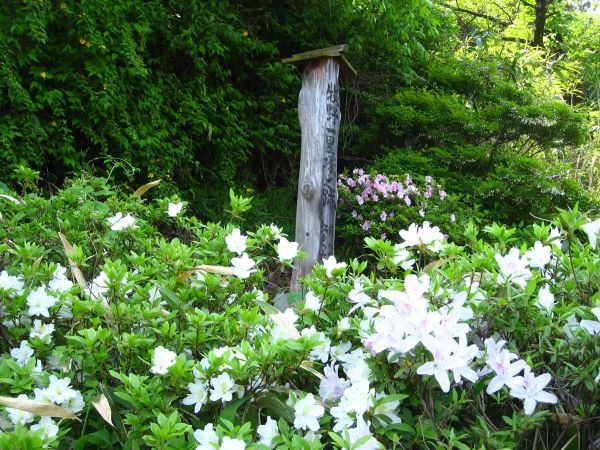 牧野一里塚跡