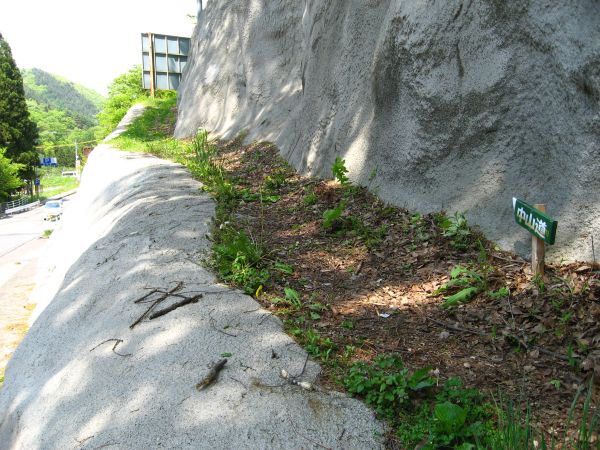 斜面を進む旧中山道