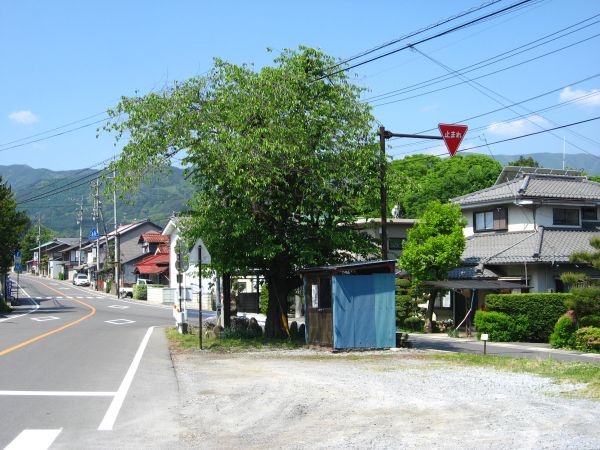 道が合流して来る