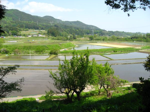 田園風景