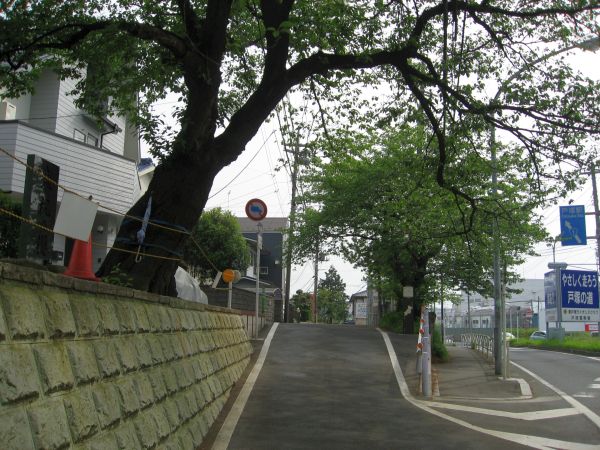 左にそれる旧東海道