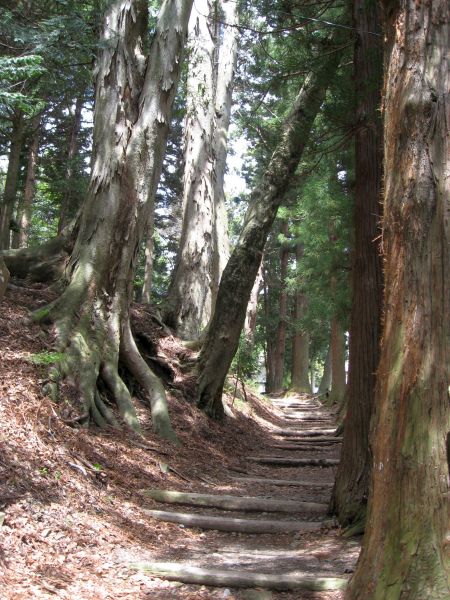 江戸時代初期の中山道