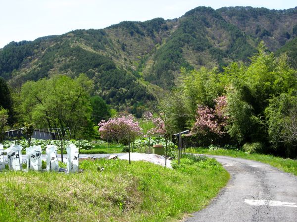 ぐるっと旋回する旧中山道