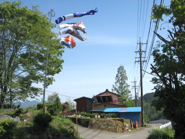 旧中山道沿いの集落の鯉のぼり