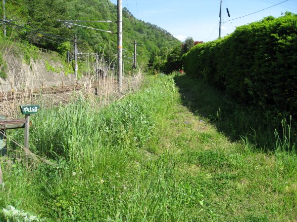 線路と民家の間の旧中山道