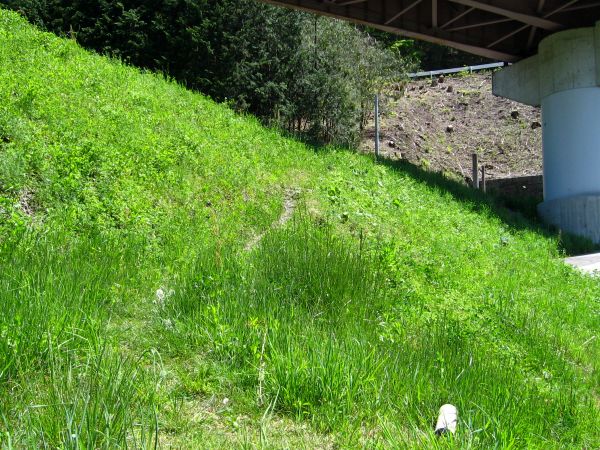 消えゆく旧中山道