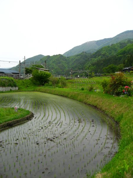 田園の道を歩く