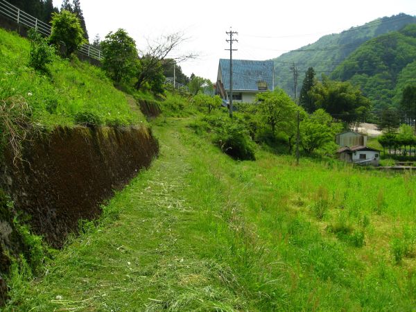 草の道で国道に合流する