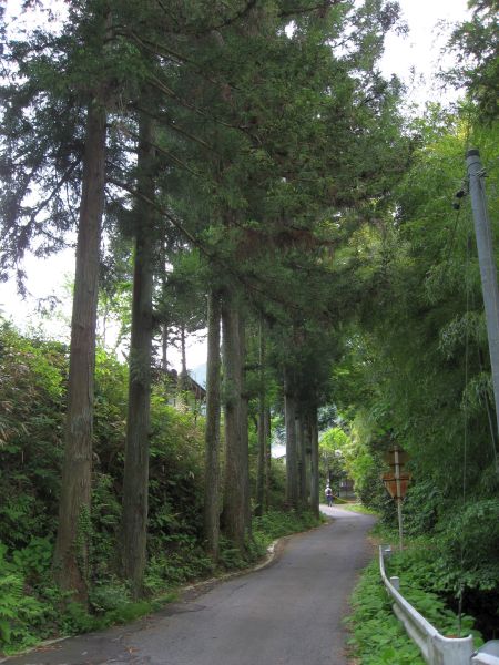 妻籠に向かう山道