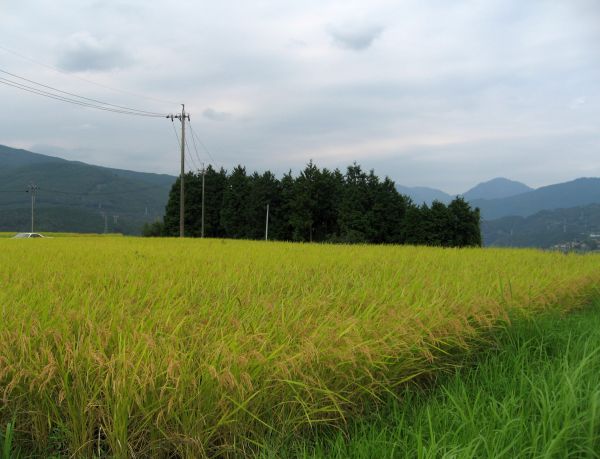 坂を上り切った風景