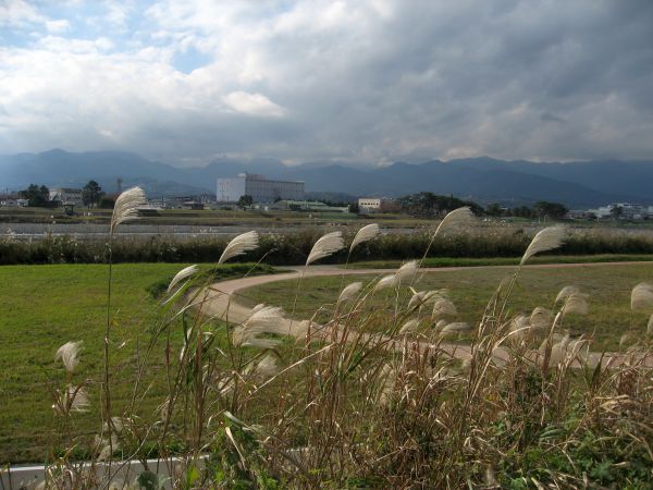 酒匂川の渡し跡