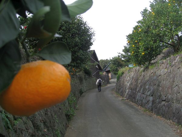 石垣山城への道