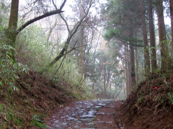 峠の最高地点か