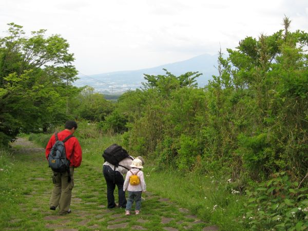 愛鷹山が見える