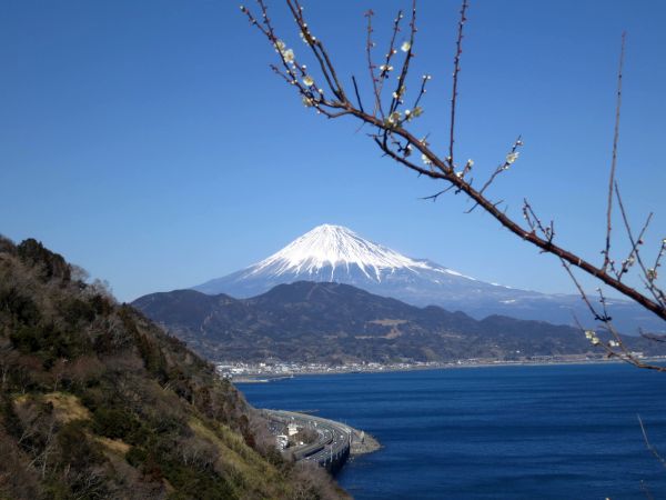 広重の浮世絵に近い富士