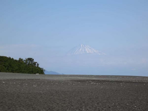 三保の松原の富士