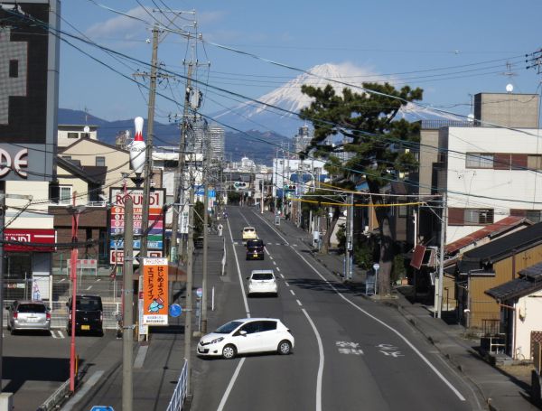 松並木の名残か