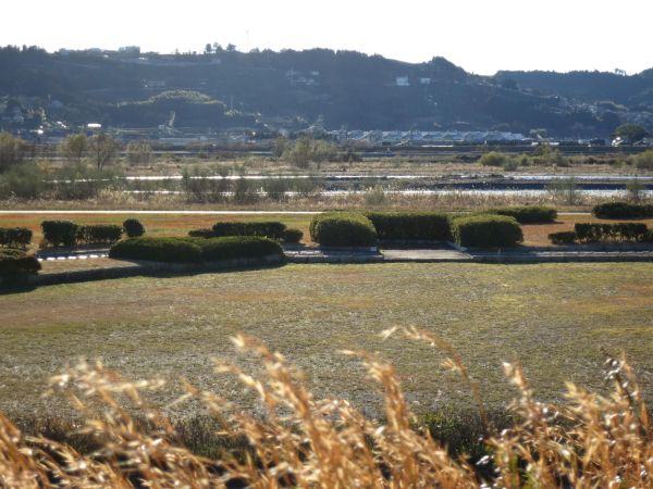 大井川河川敷