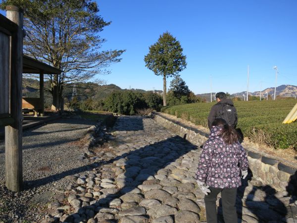 旧東海道を歩き始める