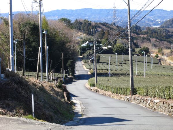 緩やかな坂を下る