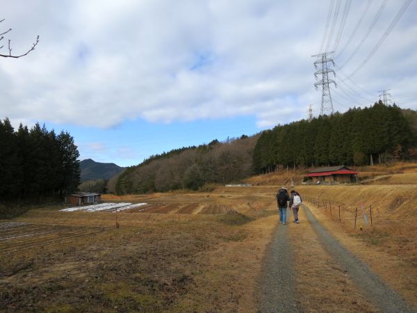 田園の道