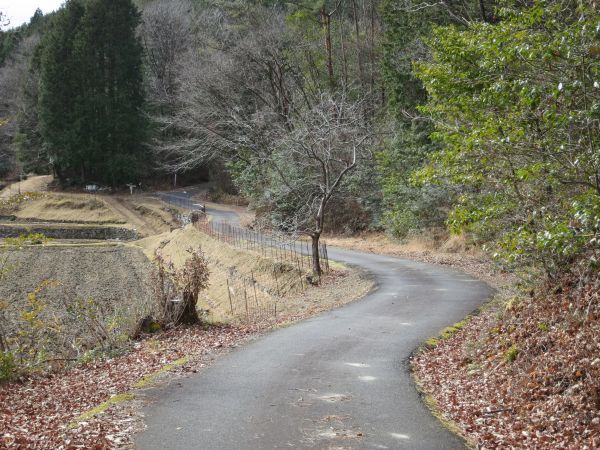 野辺の道