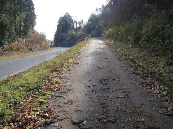 車道と並行する旧道