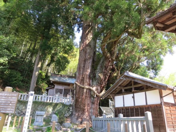 大湫神社